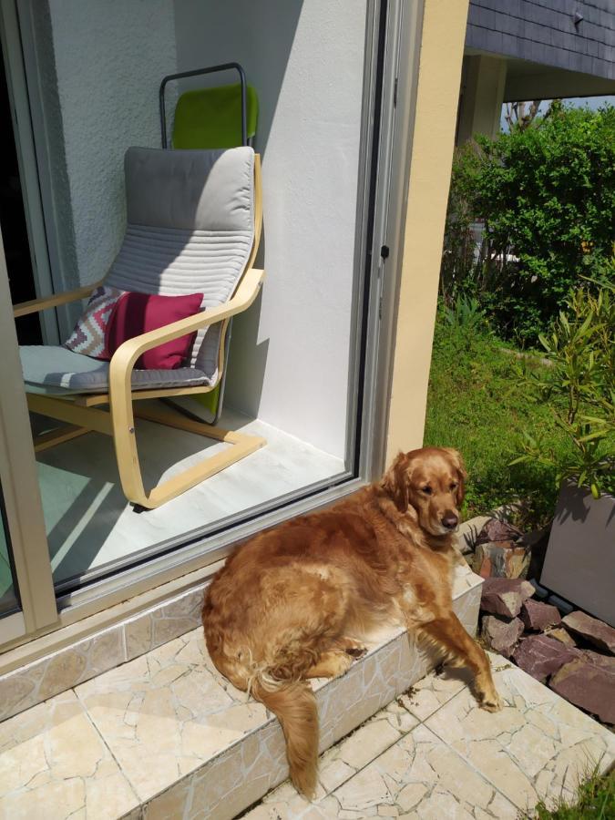 Charmant 2 Pieces A 500 M Des Plages Et Du Centre Cabourg Exterior foto